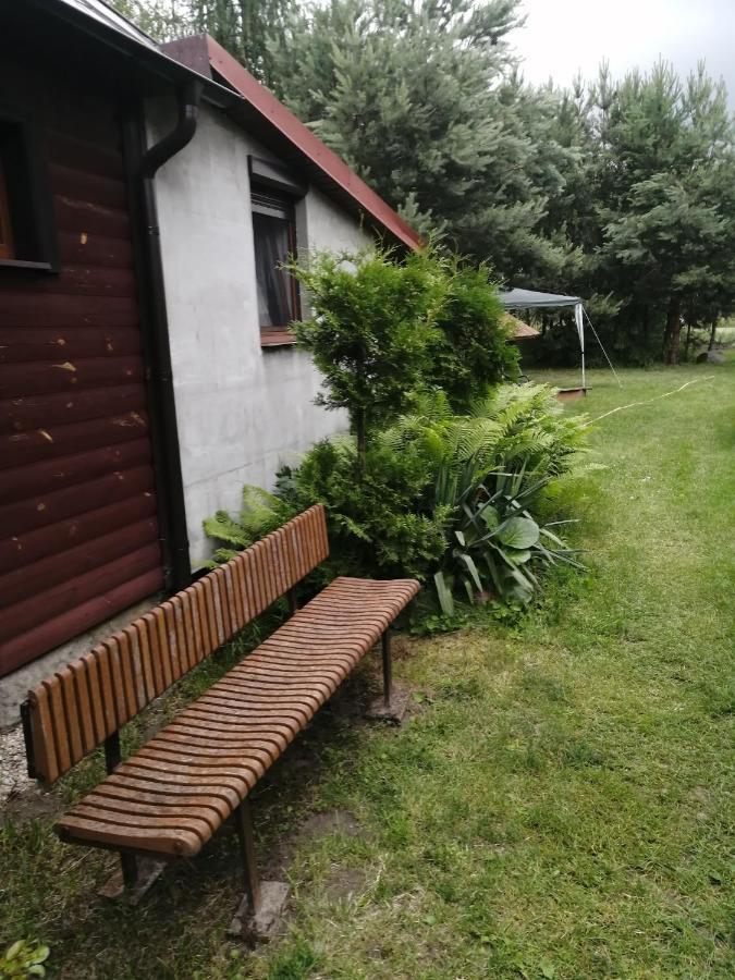 Noclegi Przy Kominku Miedzyles  Eksteriør bilde
