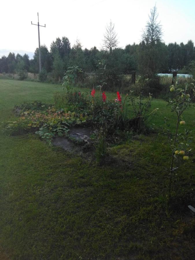 Noclegi Przy Kominku Miedzyles  Eksteriør bilde